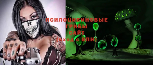 мдпв Верея