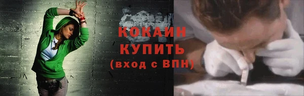мдпв Верея