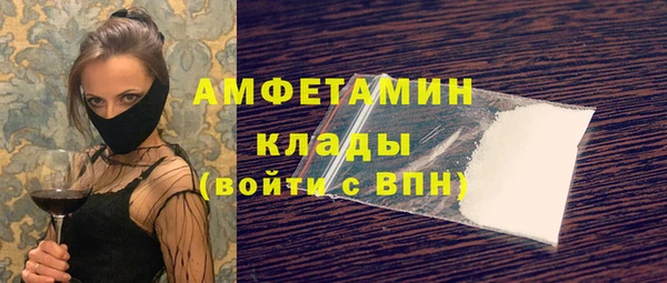 мдпв Верея