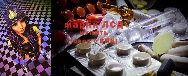 мдпв Верея
