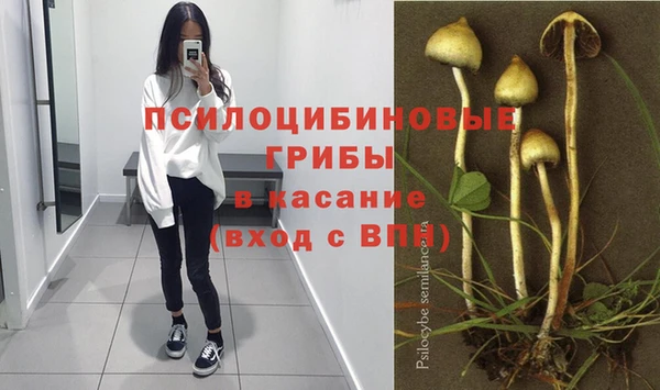 спайс Верхний Тагил