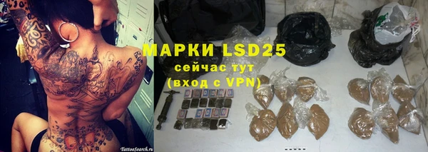 мдпв Верея